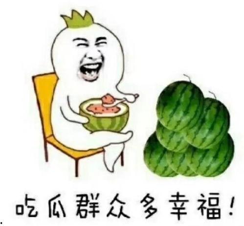 娱乐圈瓜吃啥意思,揭秘明星幕后故事与八卦传闻